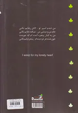 برای دل تنهای خودم می گریم